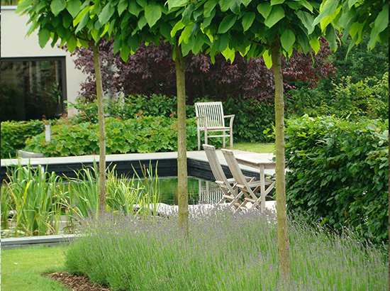 amenagement-dune-piscine-et-un-jardin